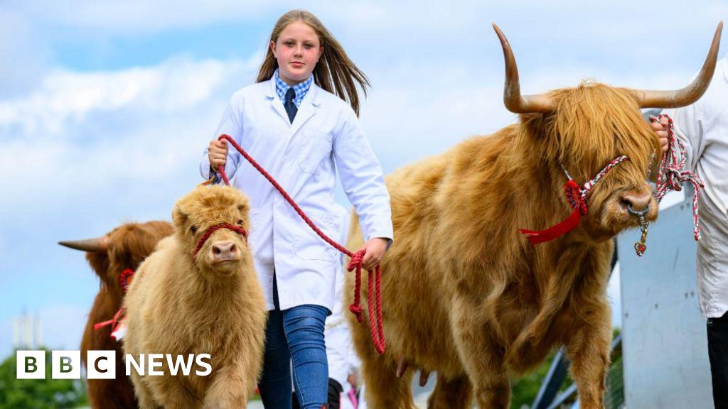 Highland Show in Edinburgh kicks off with full programme despite £3m losses