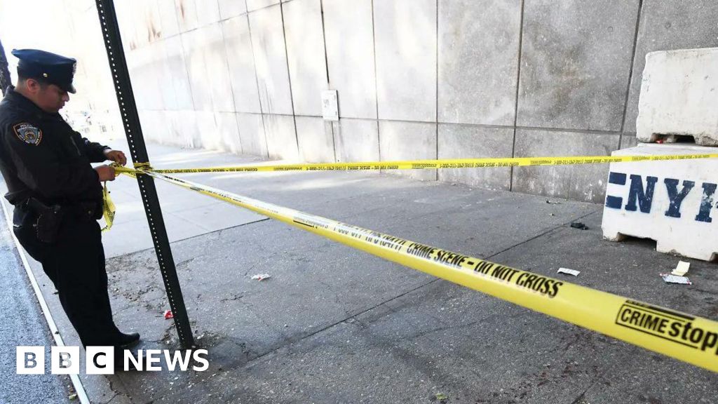 Two killed and one critically hurt in New York knife attacks