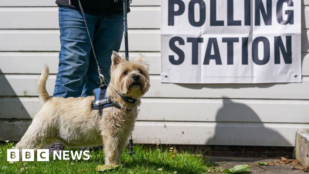 How does the UK election work? – BBC News