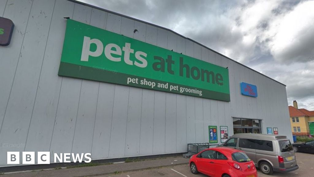 Youths spat at and threatened pet shop staff in Dundee BBC News
