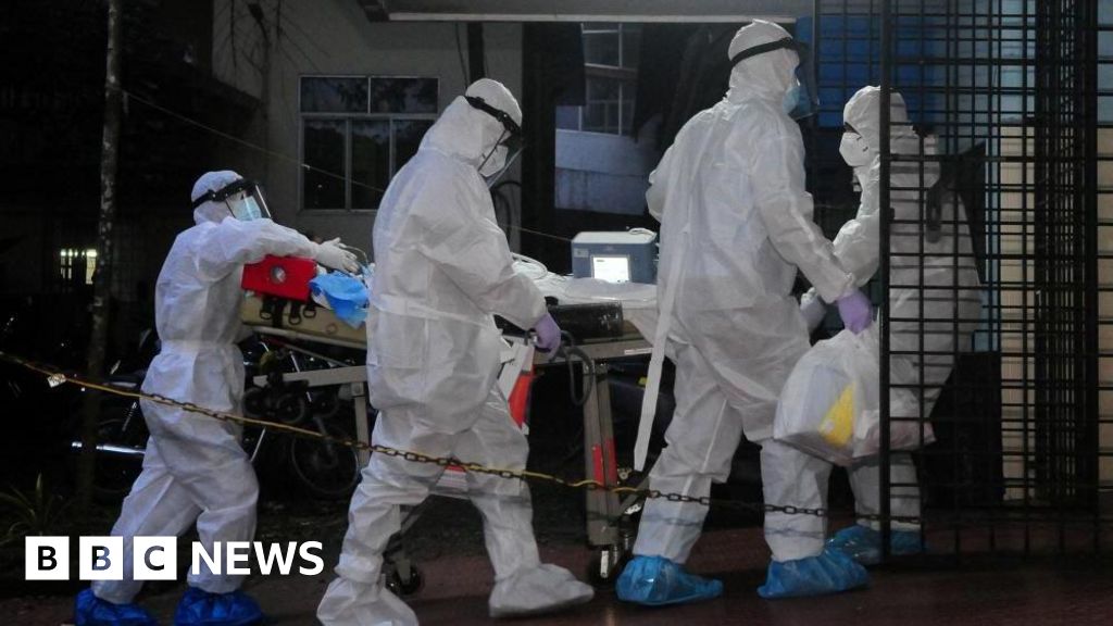 Nipah virus: Kerala state problems alert after 14-year-old dies – BBC Information