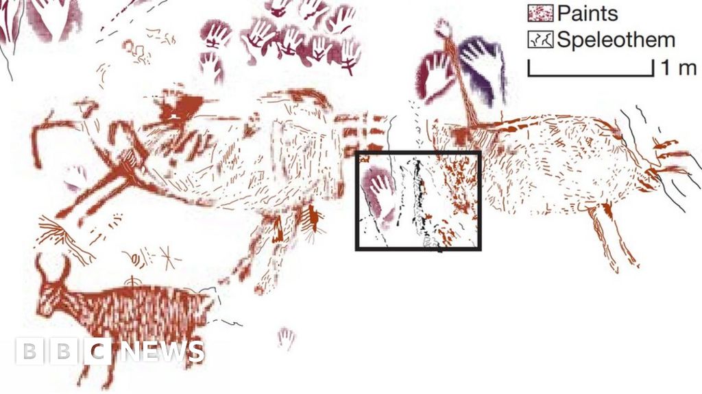 'Oldest animal painting' discovered in Borneo BBC News