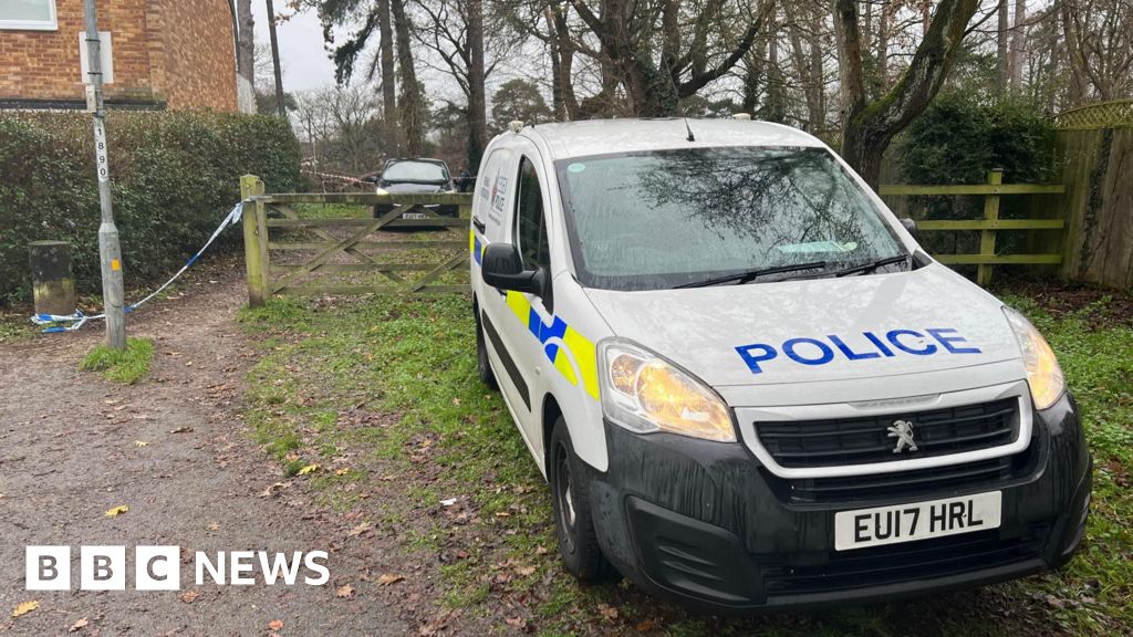 Harlow Pond Body: Police Launch Murder Investigation - BBC News