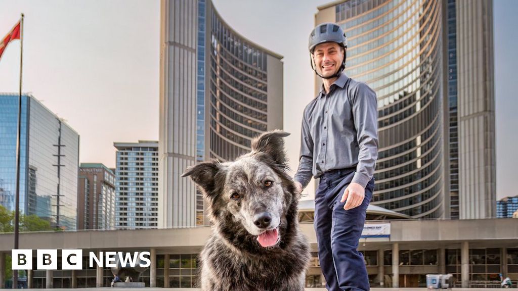 为什么101个人和一只狗想要成为多伦多市长