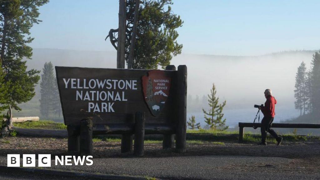 Yellowstone National Park: Seven killed in tour bus crash