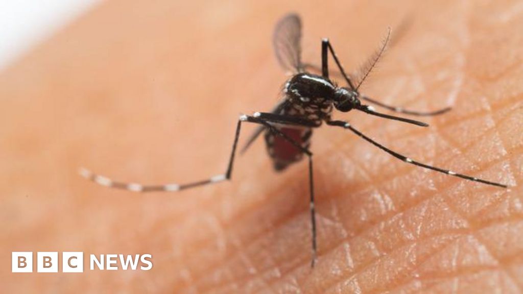 UK cases of mosquito-borne virus more than double