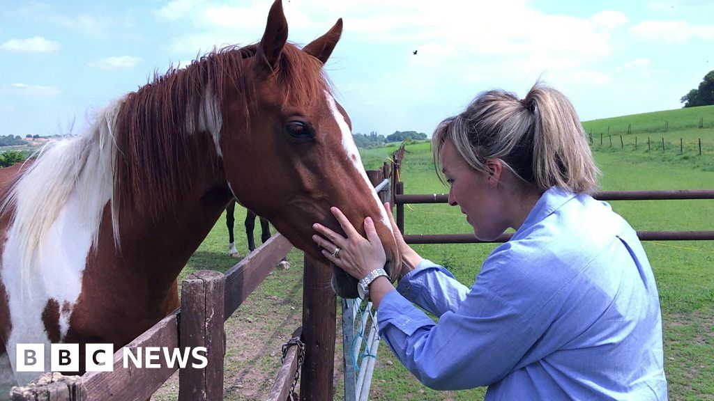 Can horses help humans beat anxiety? BBC News