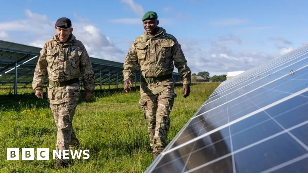 UK Army, Hospitals, Poultry Sheds Install Solar Panels