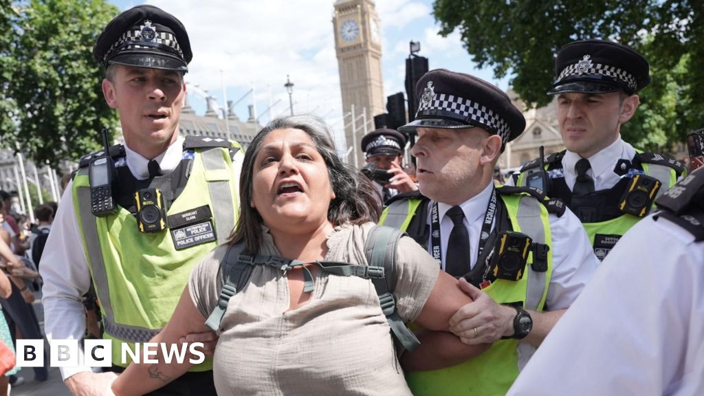Palestine Action protesters arrested by police at London demo