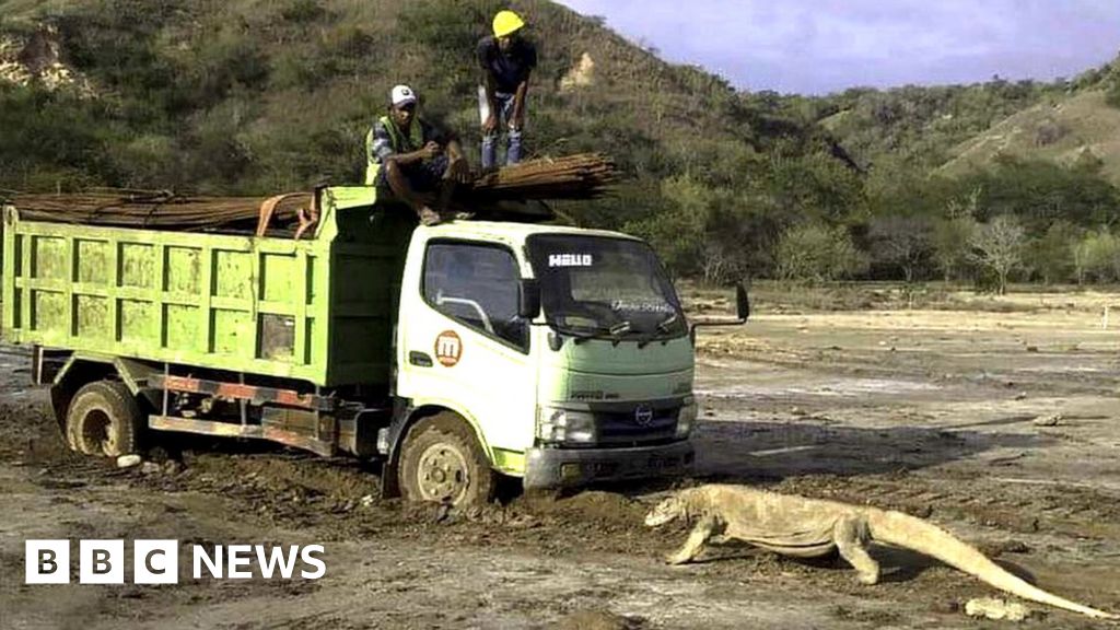 Viral photo sparks concerns about Indonesia's 'Jurassic Park'