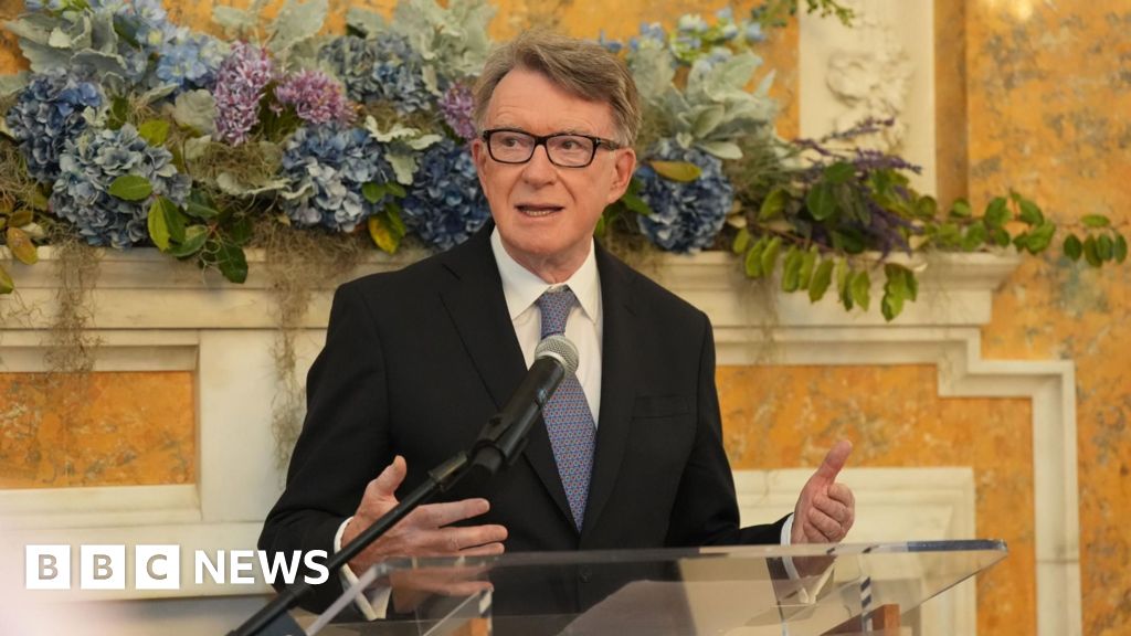 UK Ambassador Mandelson Called Epstein 'Best Pal' in Released 2003 Letter