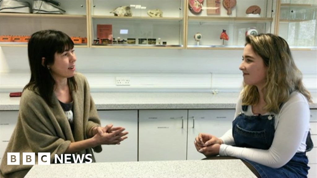 Sandie Peggie Tribunal The Truth About The Doctors Gender - ggzfzwu