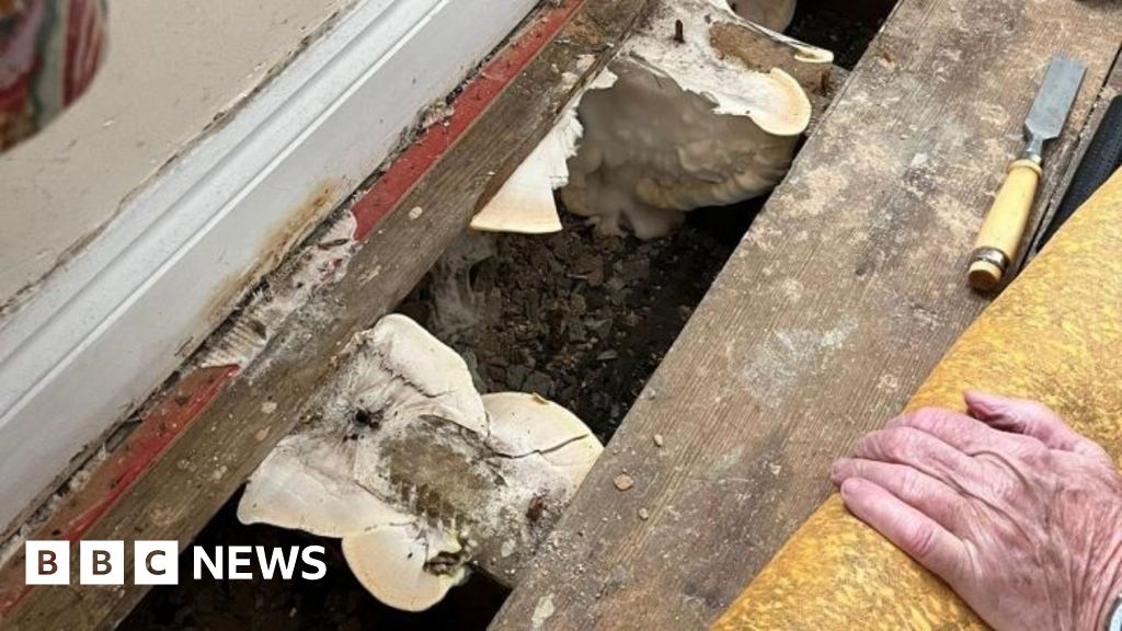 Tens of thousands of homes insulated under government schemes need repairs, watchdog says