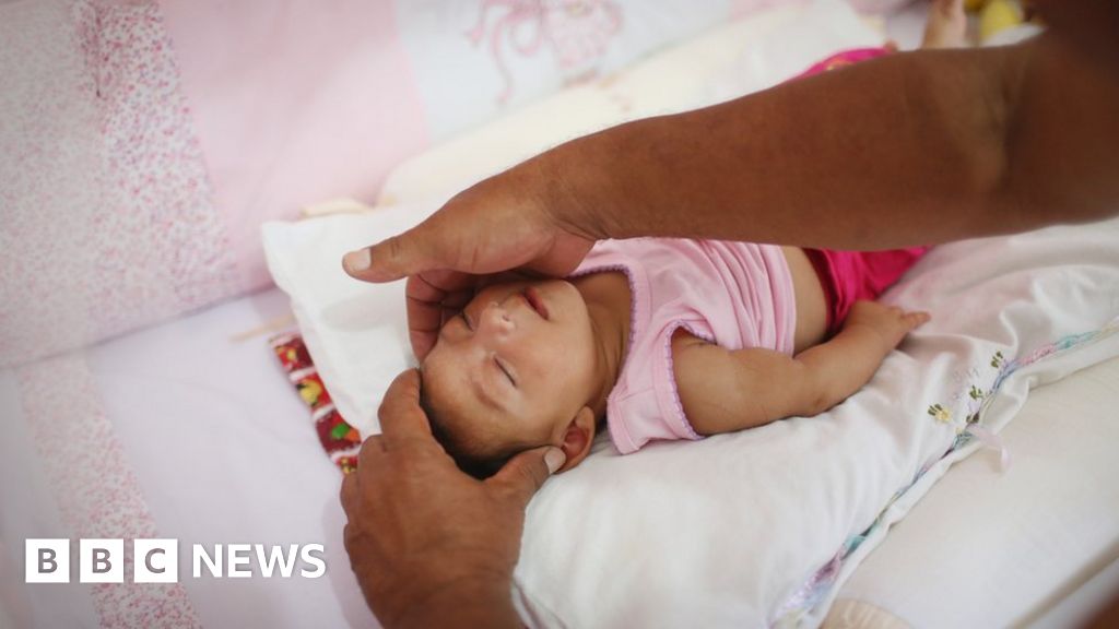 Zika Virus Could Become Explosive Pandemic Bbc News