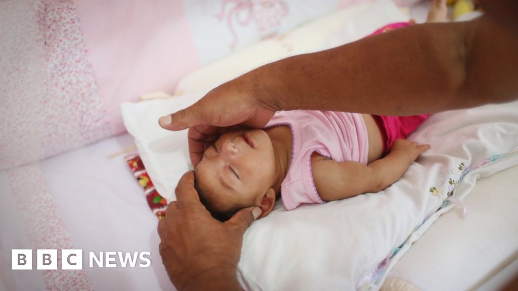 Zika Virus Could Become Explosive Pandemic Bbc News 