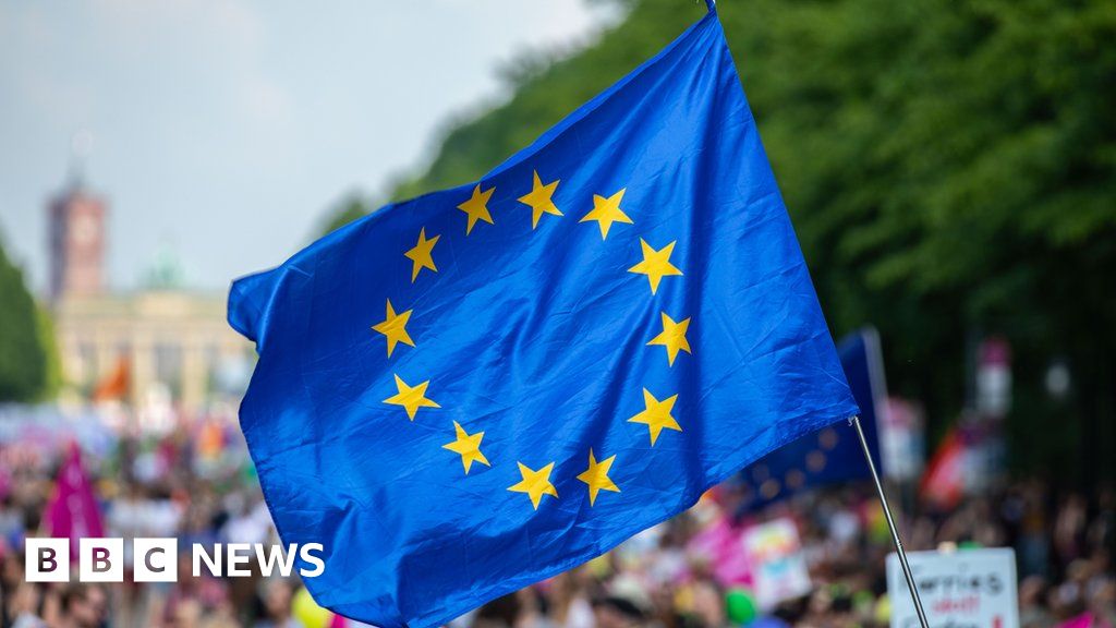 What's at stake in the EU elections