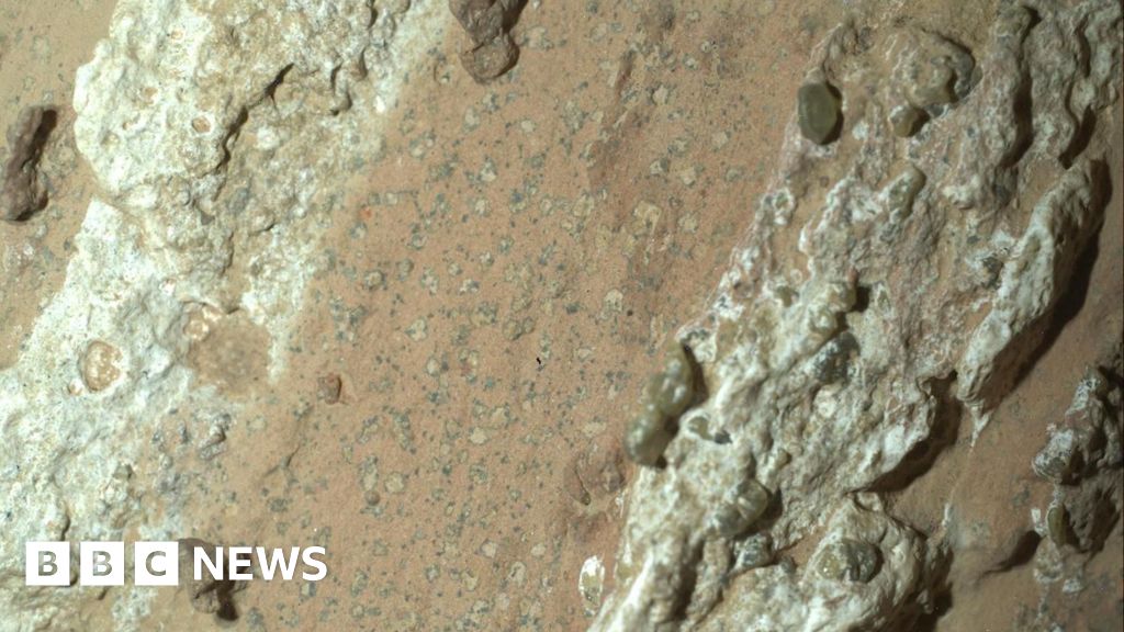 Nasa rover finds rocks on Mars with potential signs of past life thumbnail