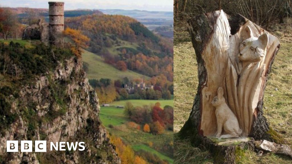 Fox And Rabbit Tree Carving Stolen Bbc News 