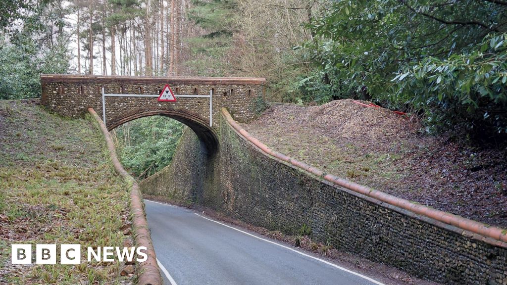 bbc.co.uk - Simon Furber - East Horsley's ornate Victorian bridges and their industrial past