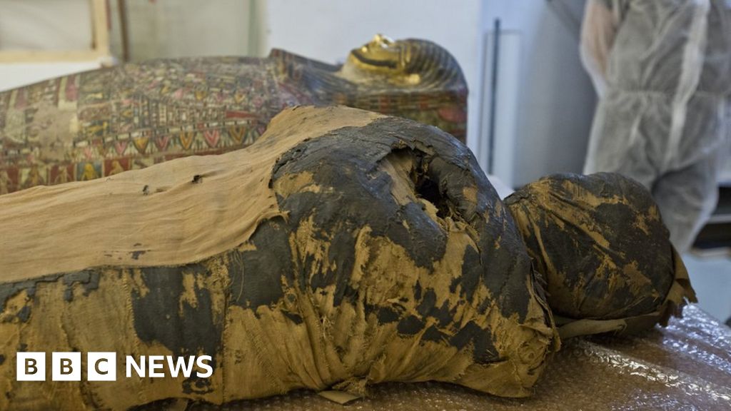 Pregnant Egyptian Mummy Revealed By Scientists c News