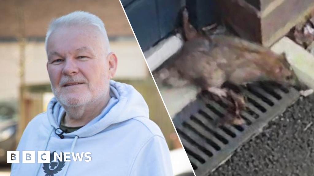 Man scared to open front door as rat reports rise