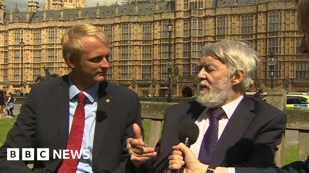 Wales' oldest MP gives advice to the youngest - BBC News