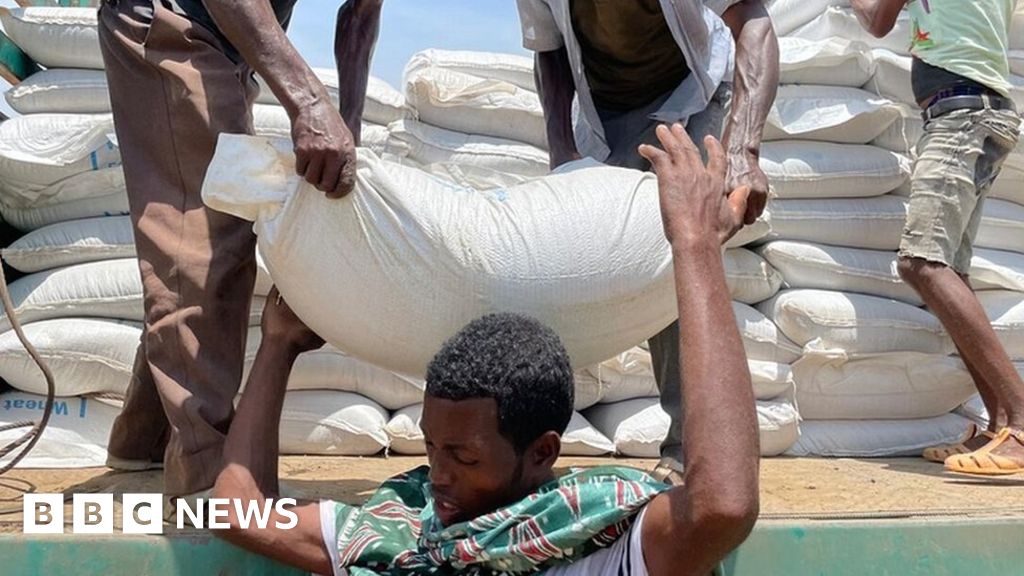 Ethiopia expels high UN officers amid Tigray help disaster