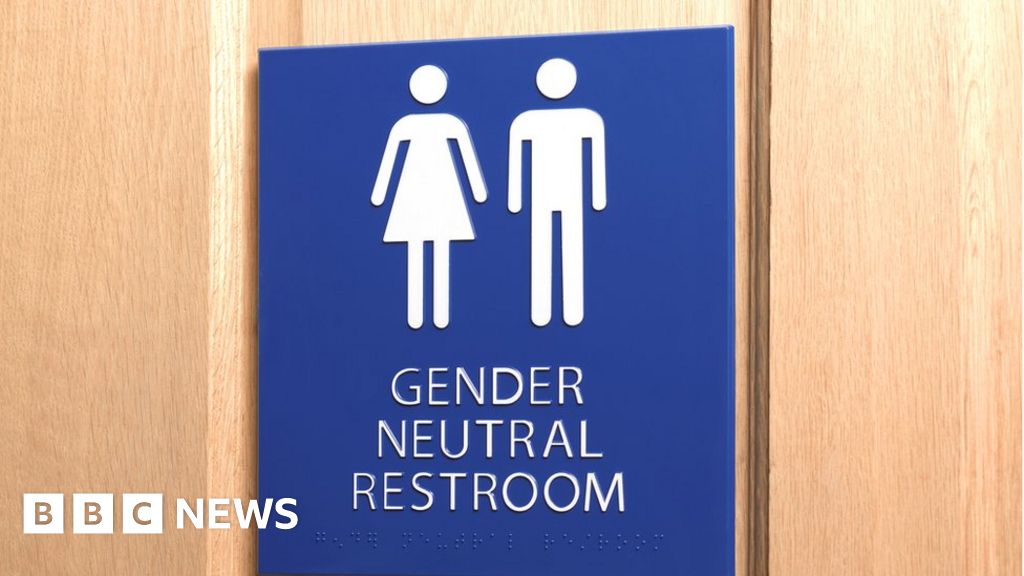 Monmouthshire Pupils Choose Gender Neutral Toilets At New School