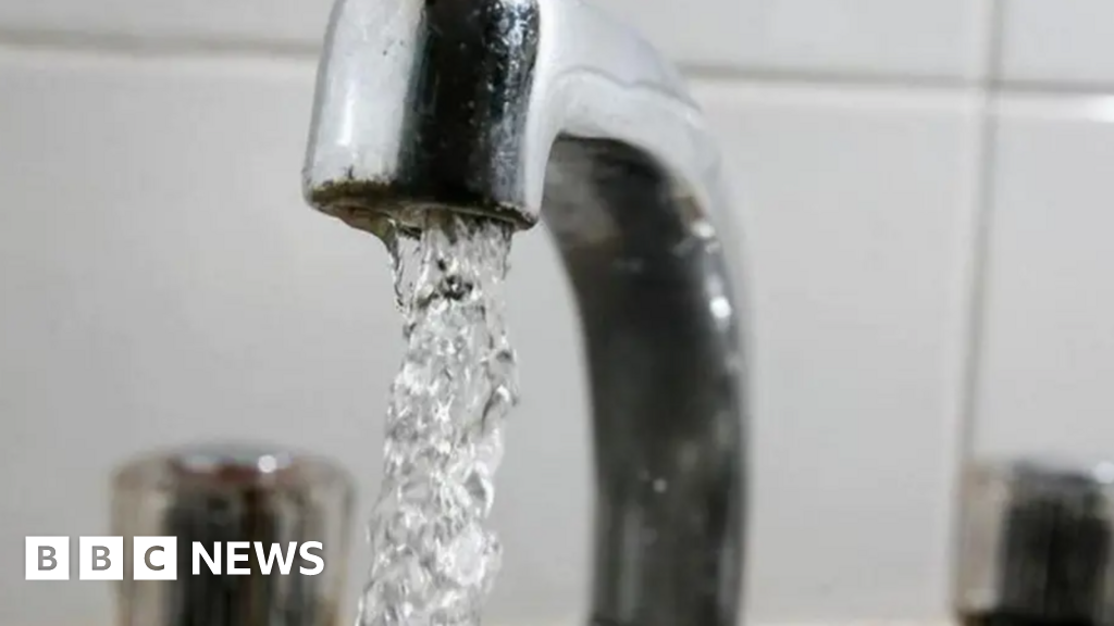 bbc.co.uk - Bridie Adams - &pound;2.2m upgrade to 'future proof' Wolverhampton water supply - BBC News