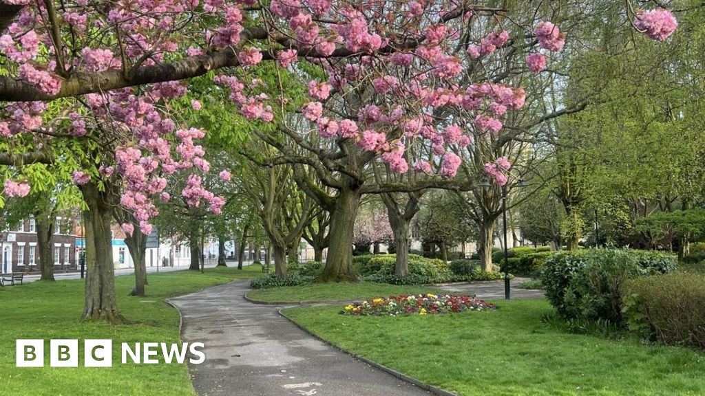 bbc.co.uk - Joe Willis - Funding sought to revamp Selby park with crazy golf and games