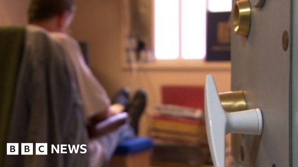 Sex Offenders Public Not Protected Enough Say Inspectors Bbc News