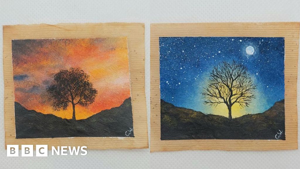 Artist paints felled Sycamore Gap tree on teabags