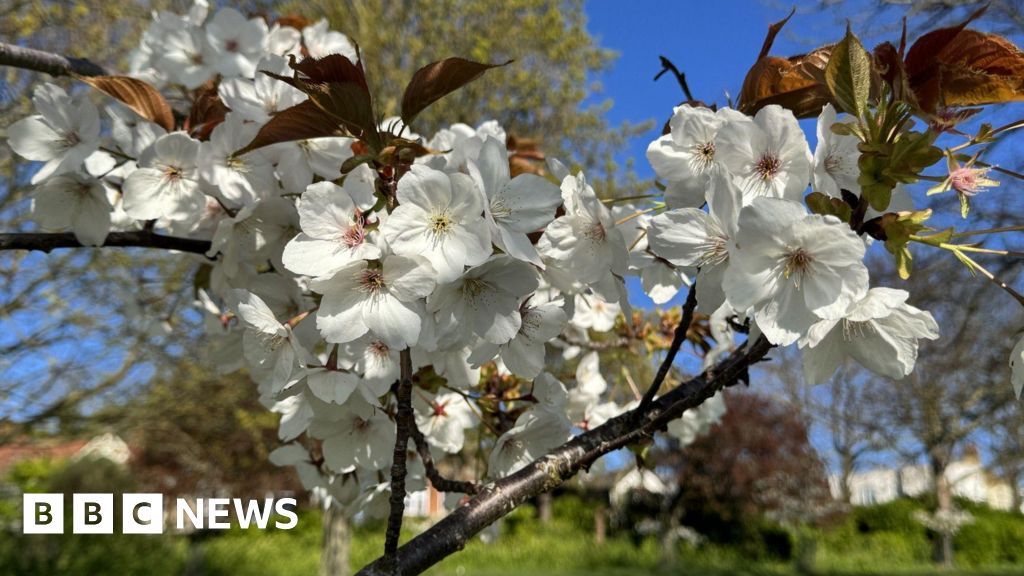 f0f50300-1519-11f0-9816-