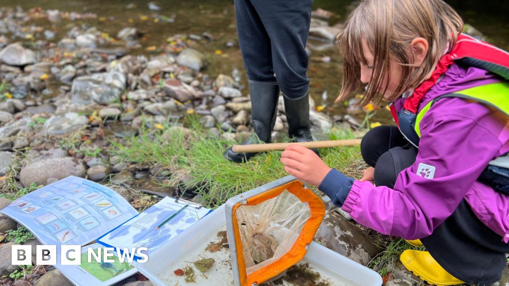 School pupils help to monitor River Tweed's health