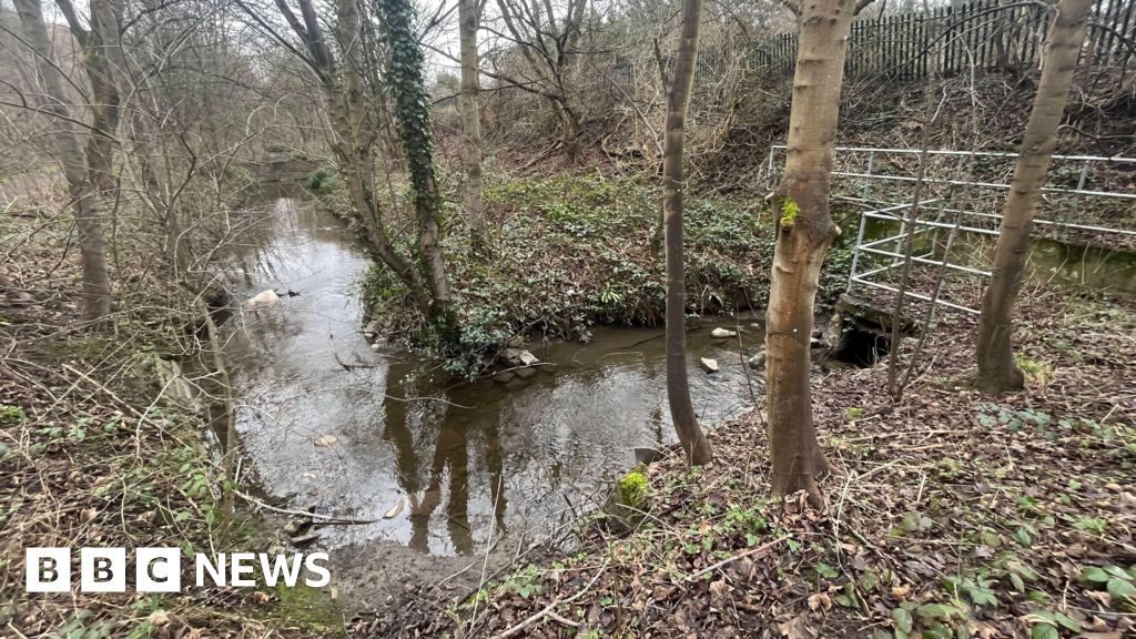 Cause of 'hundreds' of dead Prudhoe fish still unknown - BBC News