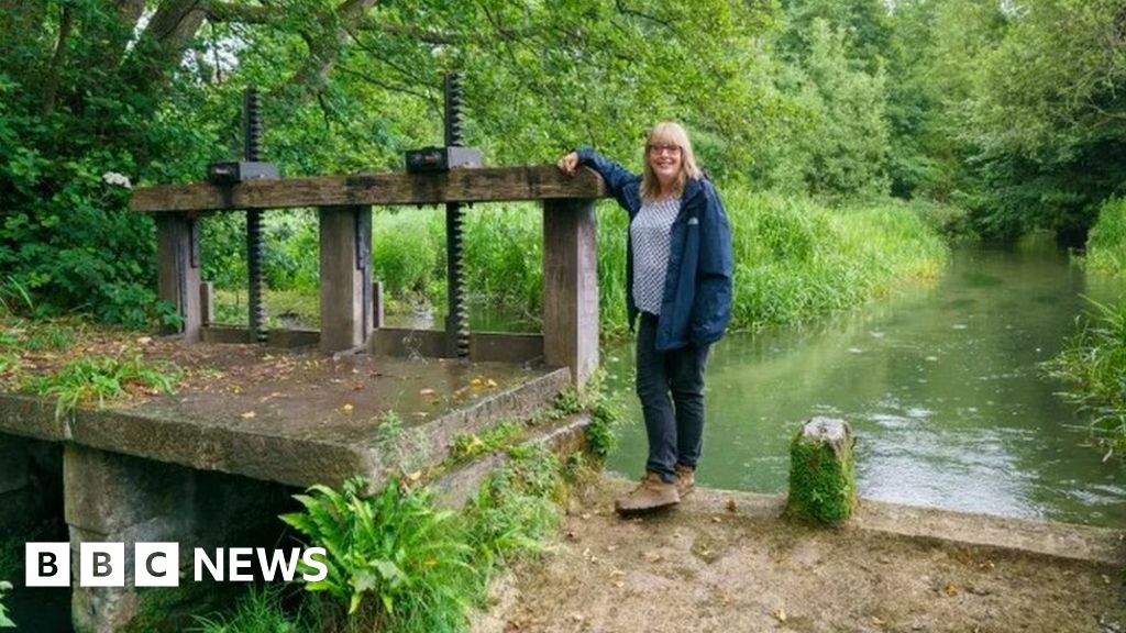 Mill pond restoration near Stroud aims to help breeding eels BBC News