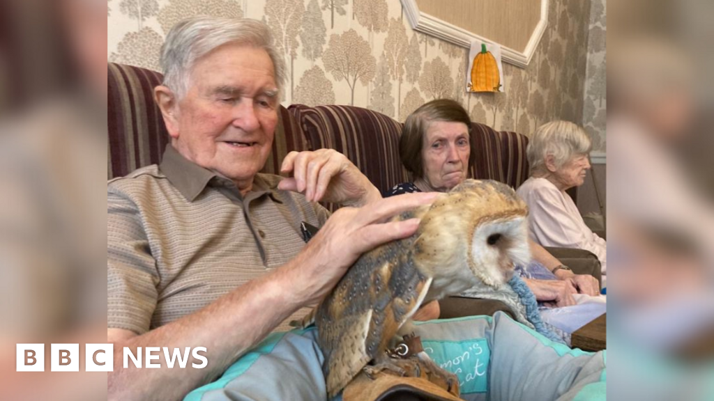 Stansted Mountfitchet care home therapy owl BBC News