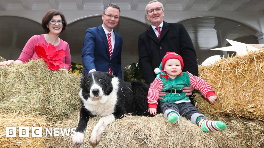 Christmas crib New home for Dublin's l﻿ive animal nativity scene