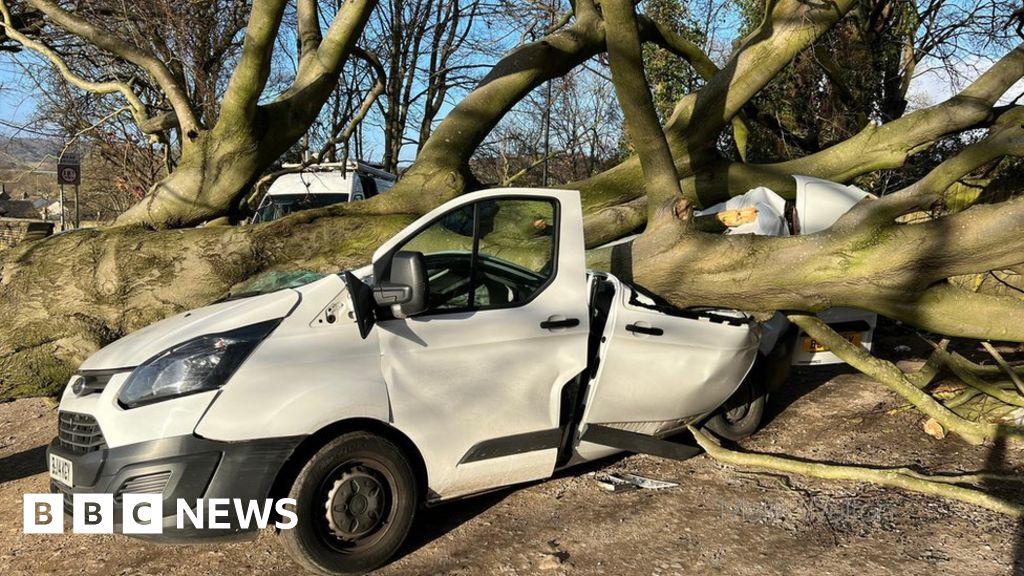 Storm Malik: Man Trapped In Van Crushed By Tree