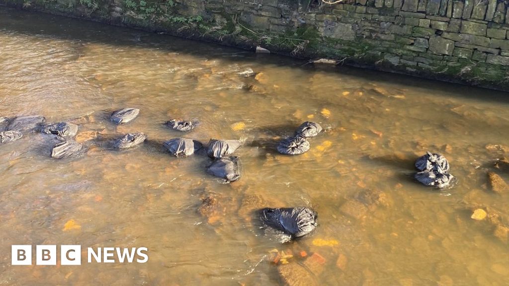 Cannabis production waste found dumped in Sheffield river