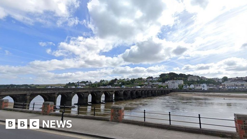 Council in Devon considers cruise ships for homeless and refugees - BBC