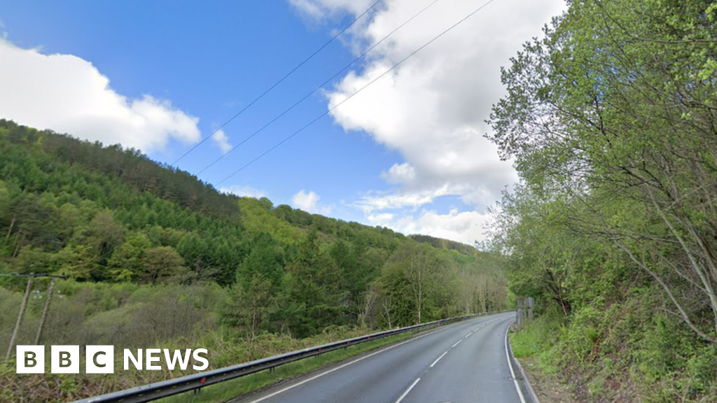 Tredegar lecturer jailed for tuning radio in crash killing nan - BBC News