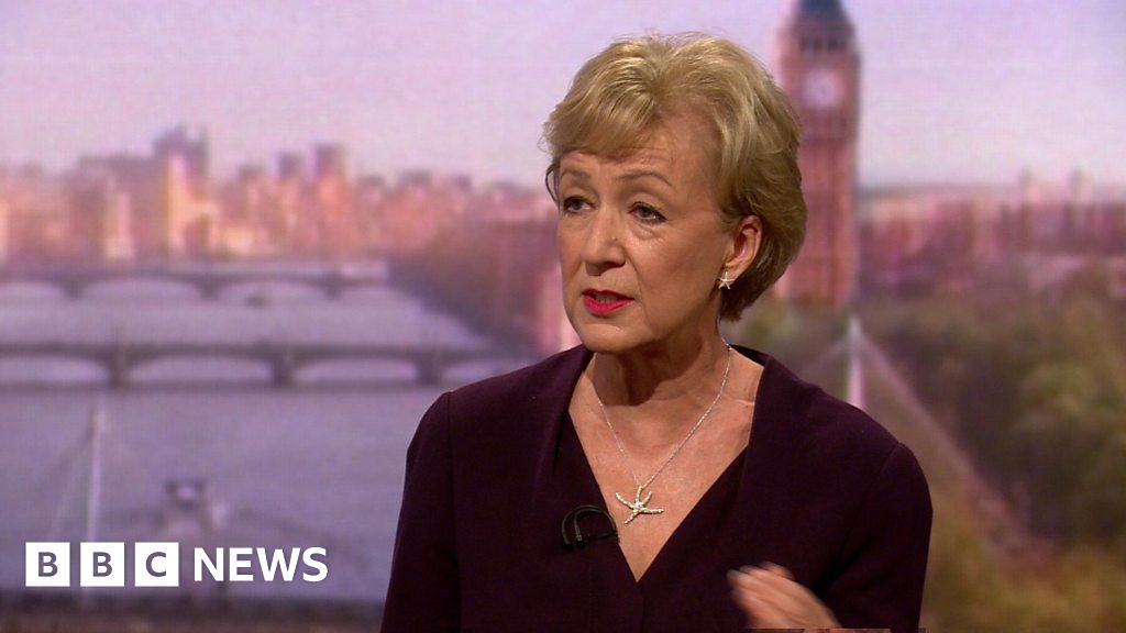 Andrea Leadsom The Eu Want To See A Proper Brexit Bbc News 