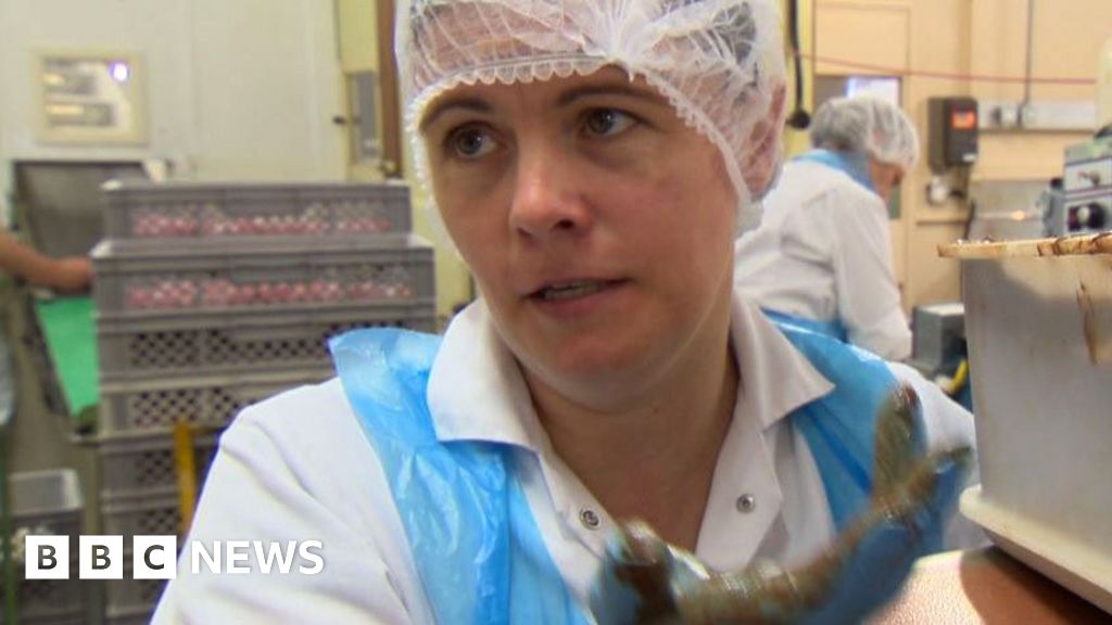 EU referendum Preston and the chocolate factory BBC News