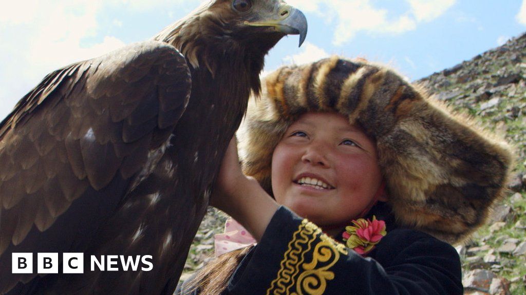 Is The Eagle Huntress Really A Documentary Bbc News