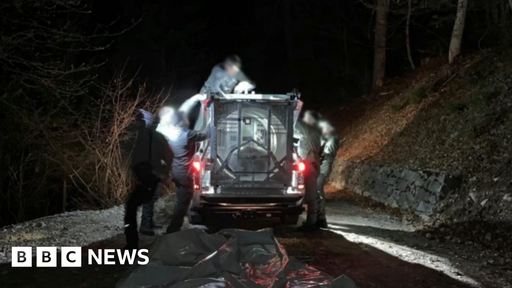 Bear captured in Italy after killing Alpine jogger Andrea Papi