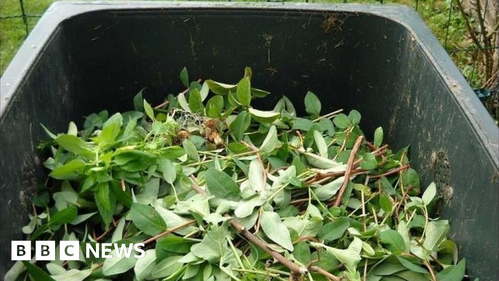 Edinburgh 'garden tax' waste scheme may be ditched BBC News