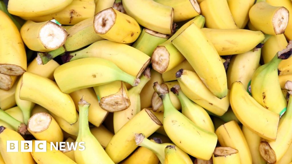 The Imminent Death Of The Cavendish Banana And Why It Affects Us