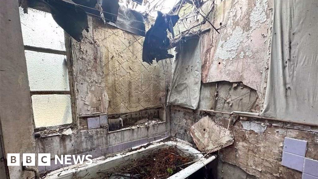 The upstairs bedroom shows a ceiling long-caved in, a pond in the bathtub covered in branches and rotten furnishings