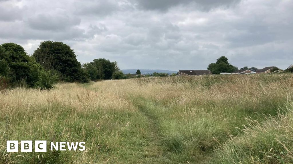 Somerset housing development puts 'profit before community'